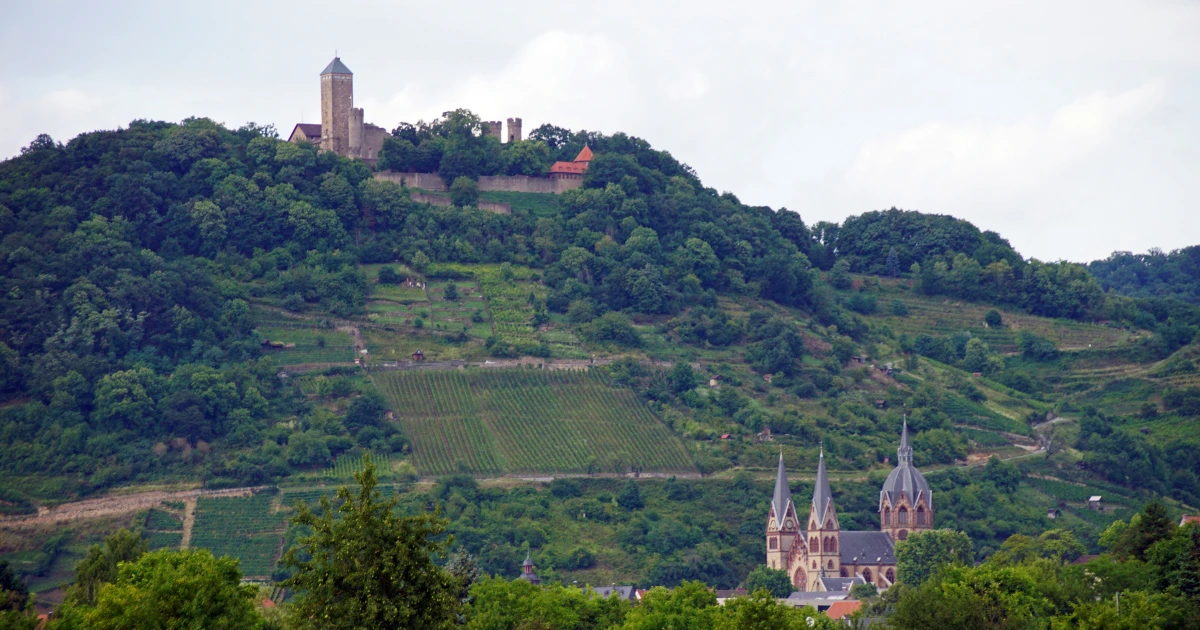 Starkenburg und Weinberge über Heppenheim